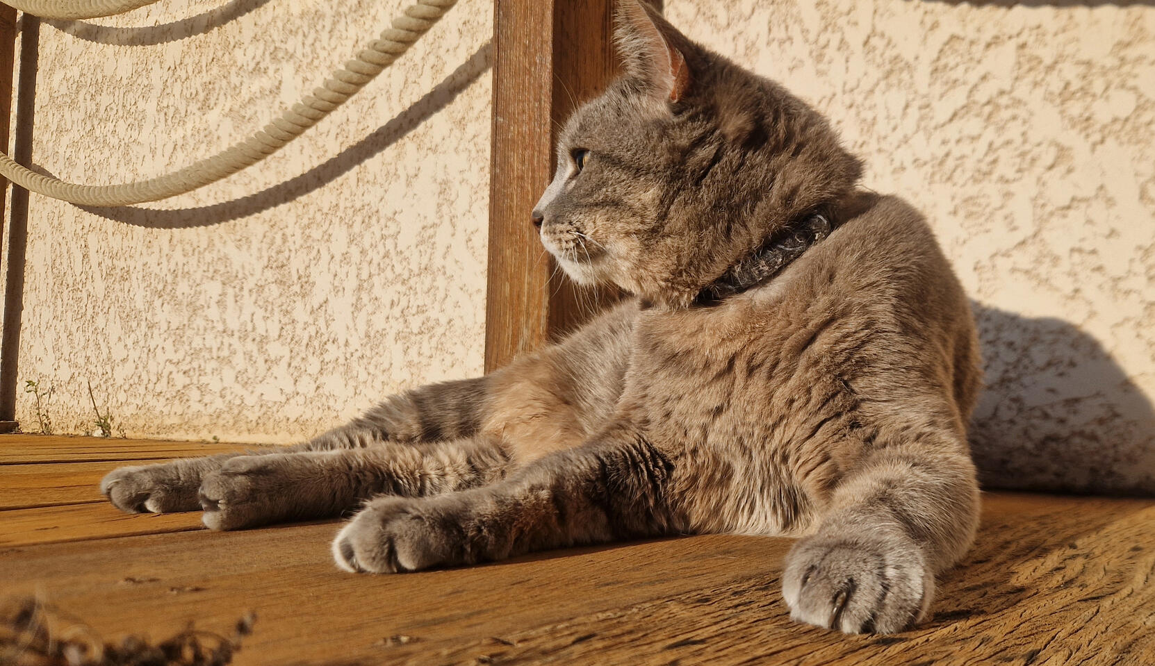 chat chat