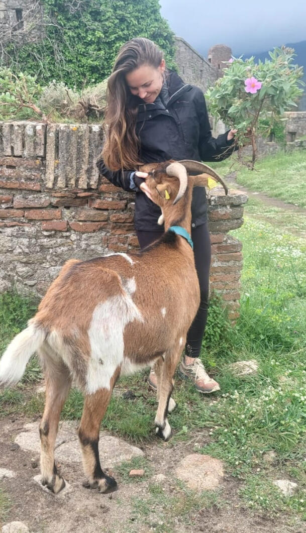 marine à la ferme NAC